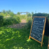 Exclusief Inner Beauty-Retreat = Uitverkocht - Afbeelding 3