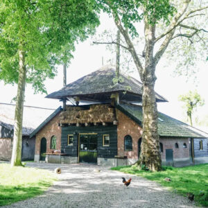 Happy Hormones Retreat - Reset voor lichaam & geest